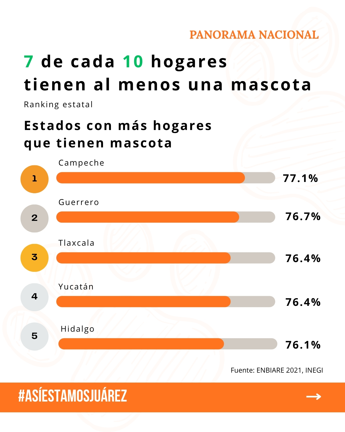 80 millones de mascotas en México (2 de 4)