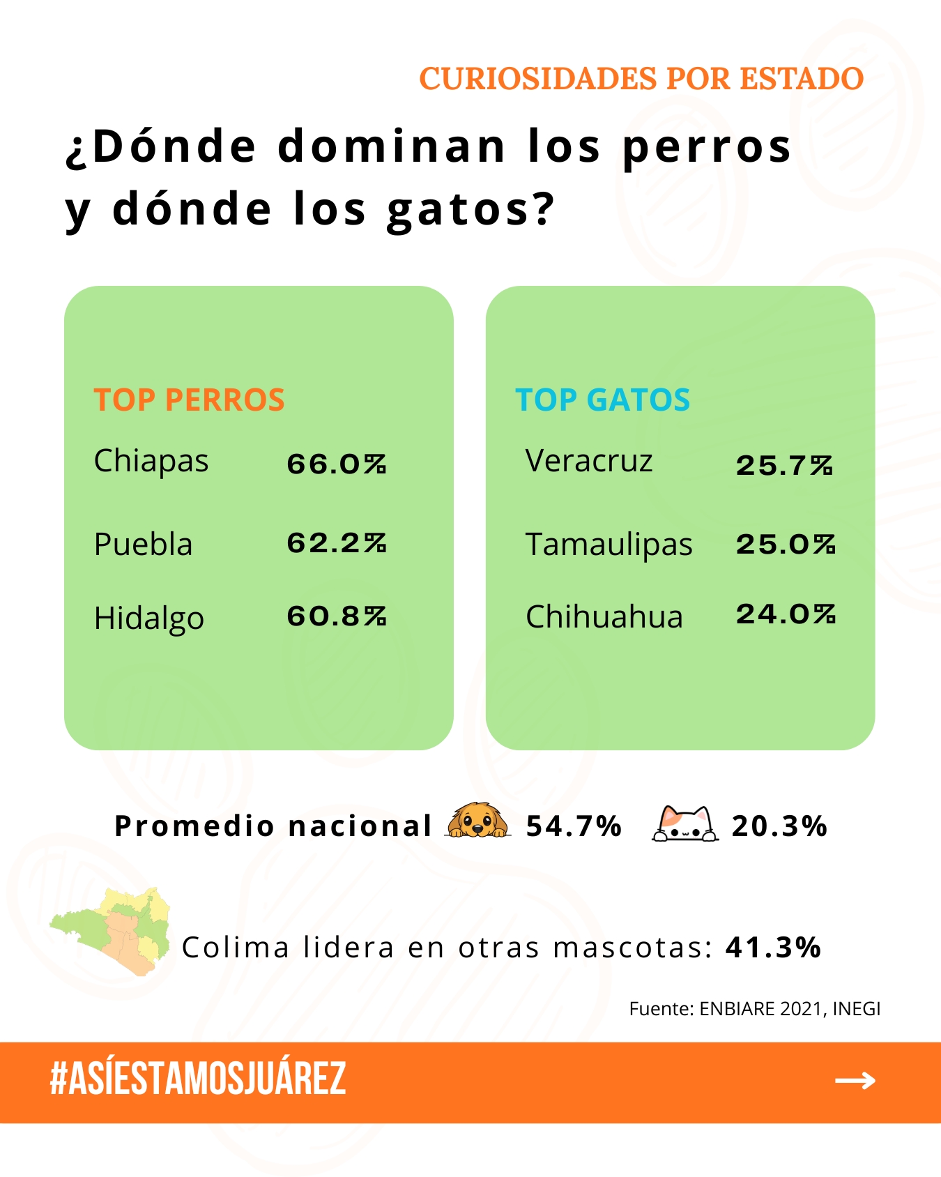 80 millones de mascotas en México (3 de 4)